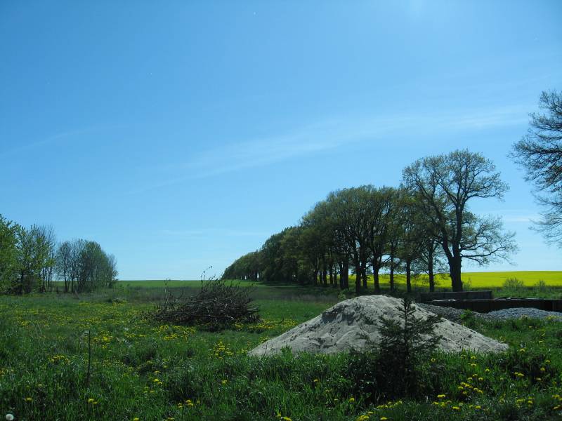 Zdjęcie do wpisu: Pierwsze koty za ploty.....biurokracji .