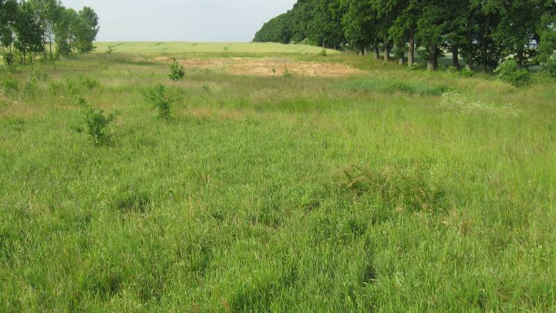 Zdjęcie do wpisu: Pierwsze koty za ploty.....biurokracji .