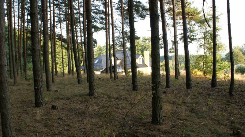 mojabudowa.pl - blog budowlany