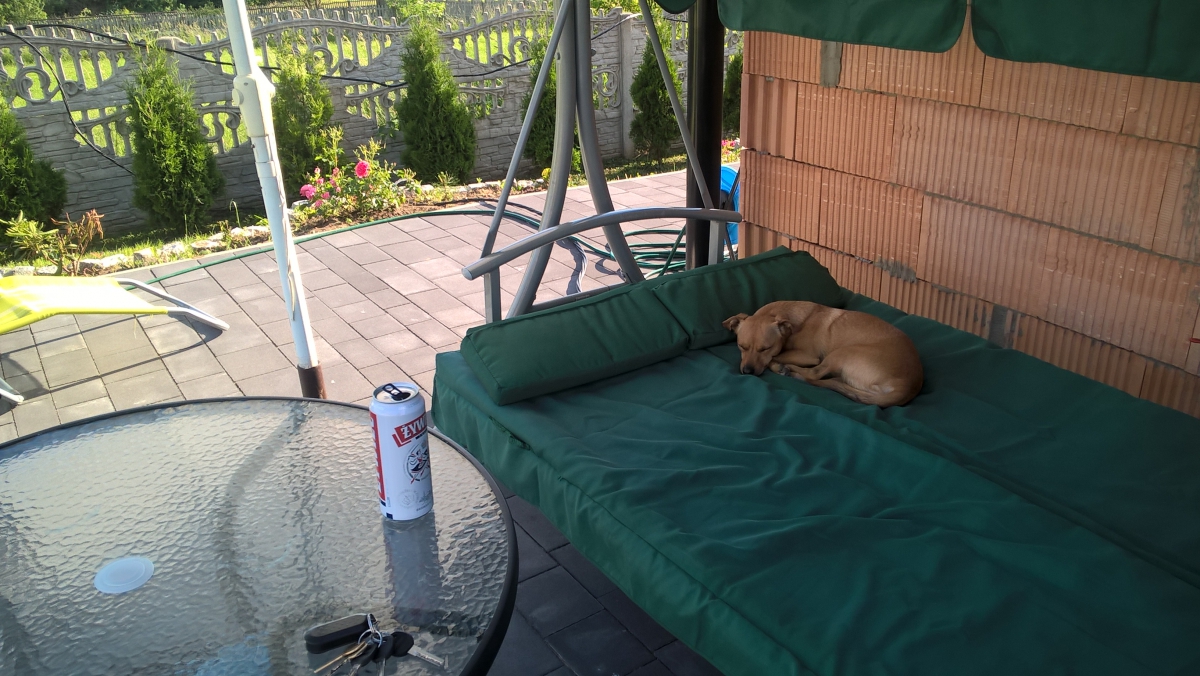 mojabudowa.pl - blog budowlany