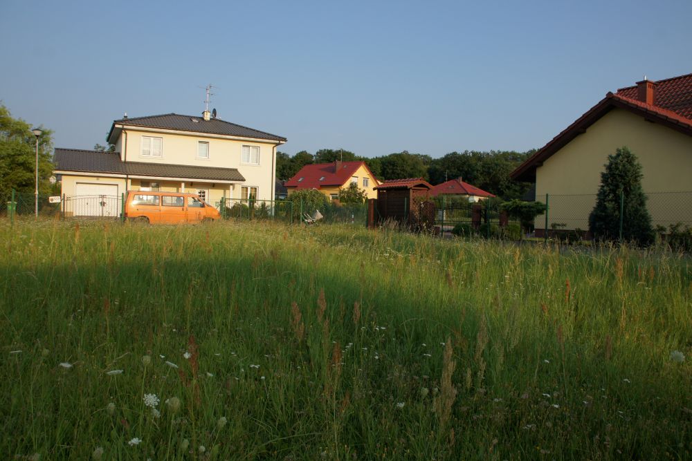 Zdjęcie do wpisu: Działka