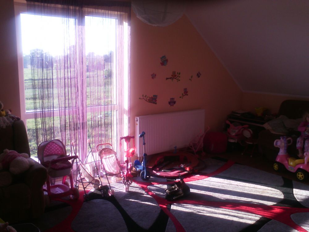 Zdjęcie do wpisu: wykonczenie