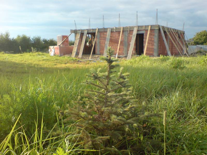 mojabudowa.pl - blog budowlany