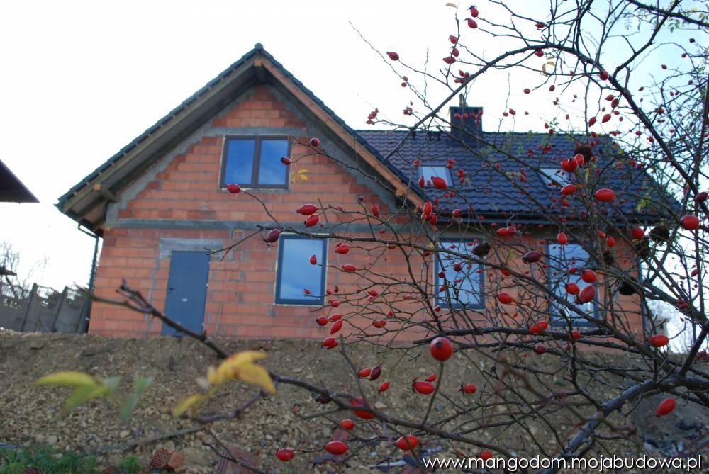 blog budowlany - mojabudowa.pl