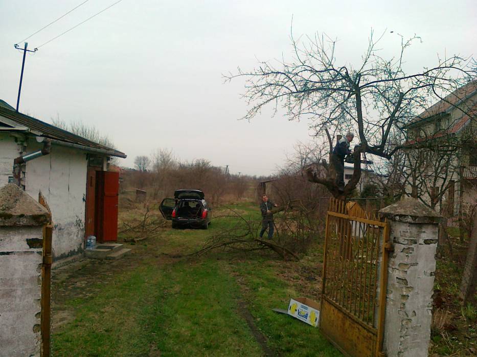 Zdjęcie do wpisu: Przyszła wiosna czas na porządki