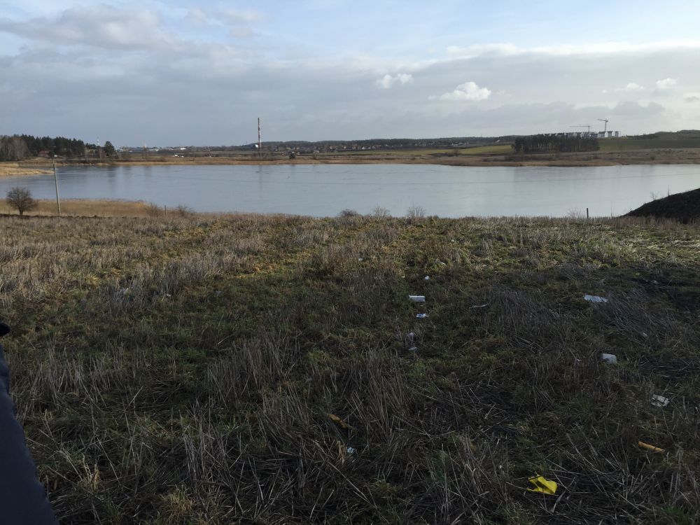 Zdjęcie do wpisu: NASZA DZIAŁKA:)