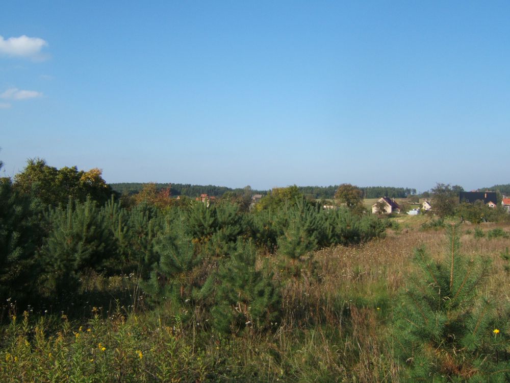 blog budowlany - mojabudowa.pl