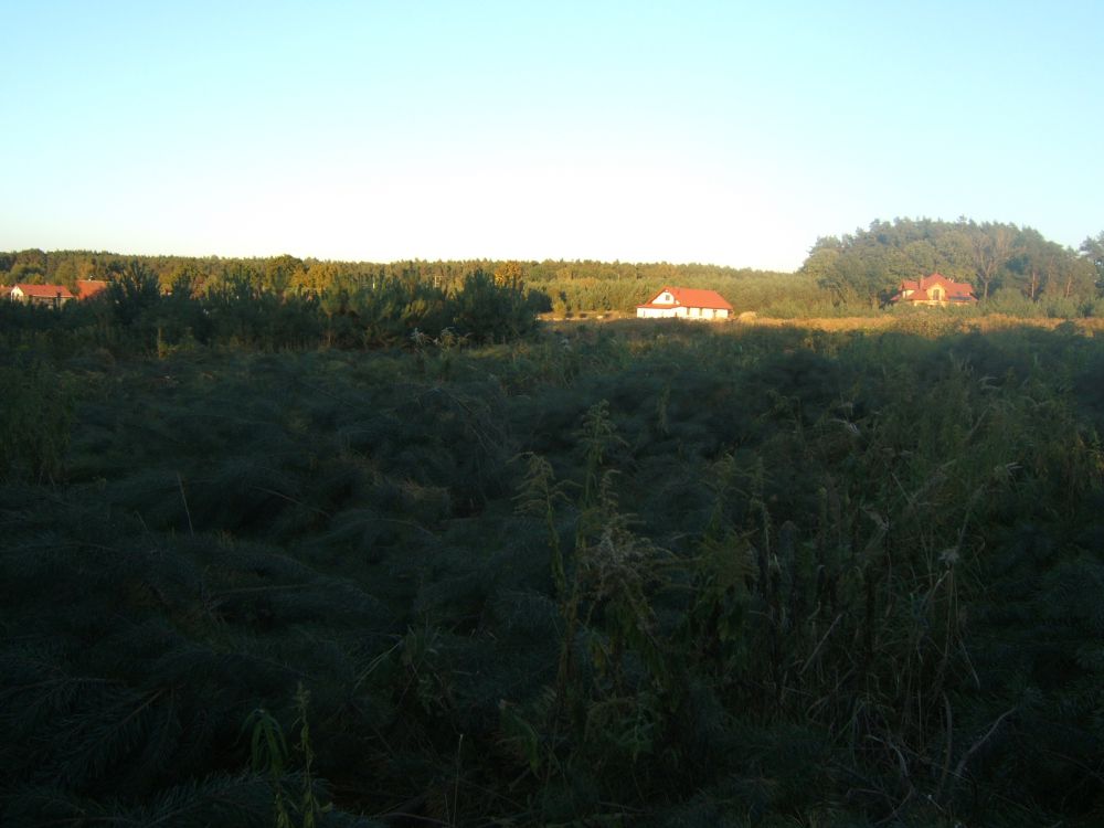 blog budowlany - mojabudowa.pl