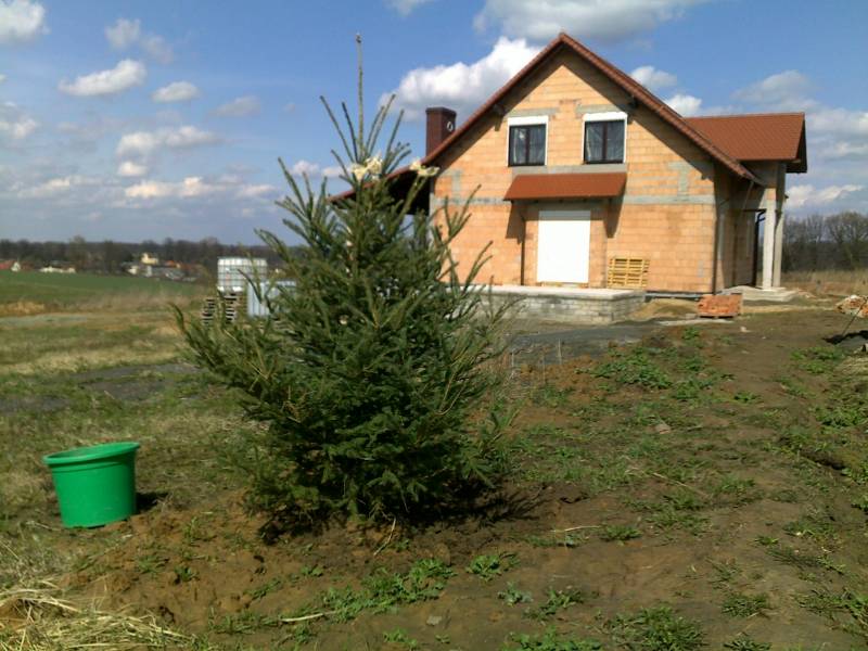 mojabudowa.pl - blog budowlany