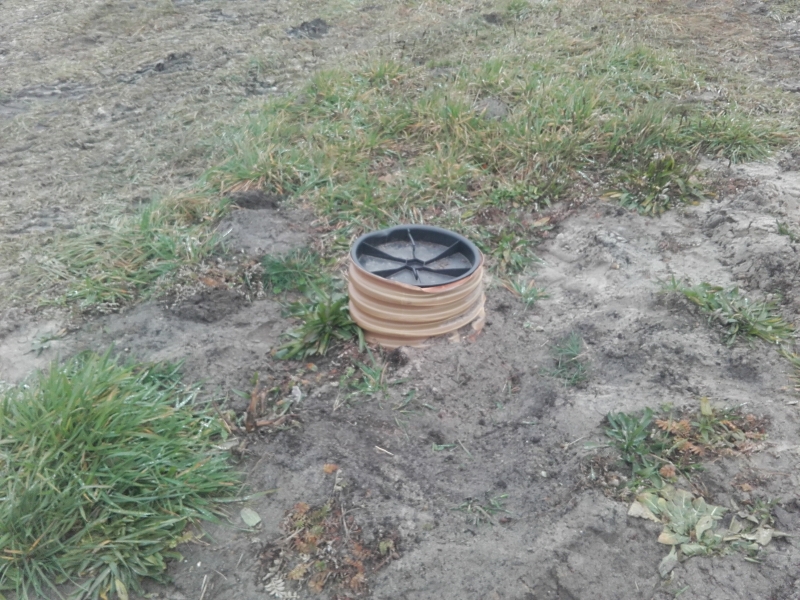 Zdjęcie do wpisu: Fundamenty