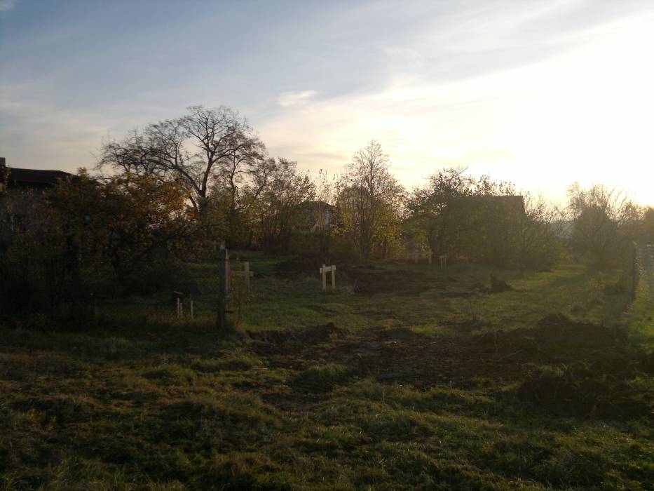 Zdjęcie do wpisu: Prace ziemne