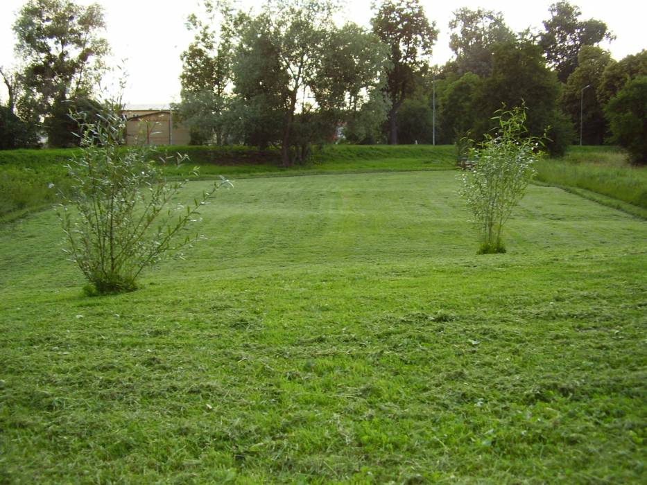 Zdjęcie do wpisu: ZIELONO NAM