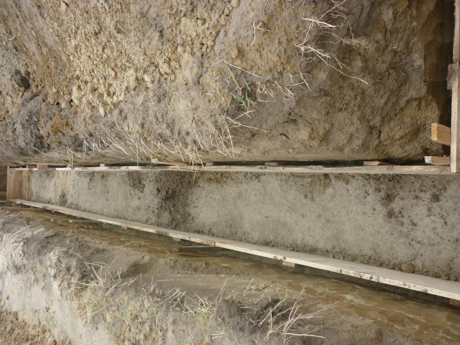 Zdjęcie do wpisu: ławy