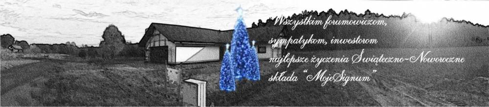 blog budowlany - mojabudowa.pl