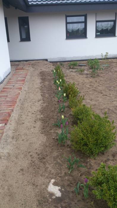 blog budowlany - mojabudowa.pl