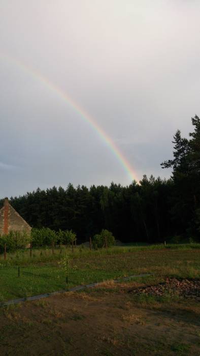 blog budowlany - mojabudowa.pl