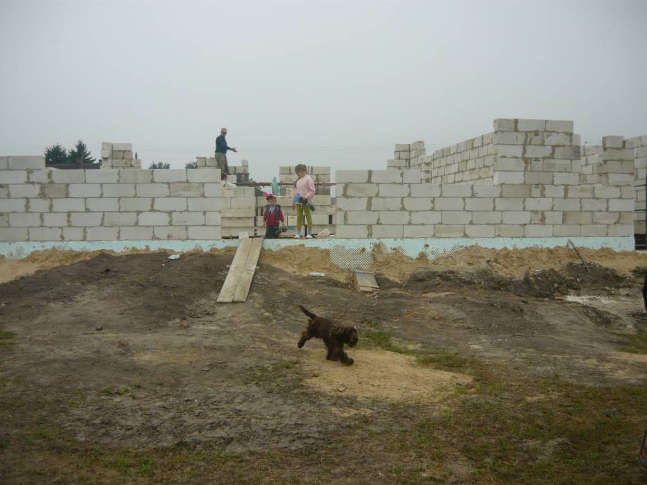 blog budowlany - mojabudowa.pl