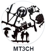 blog budowlany - avatar mt3ch