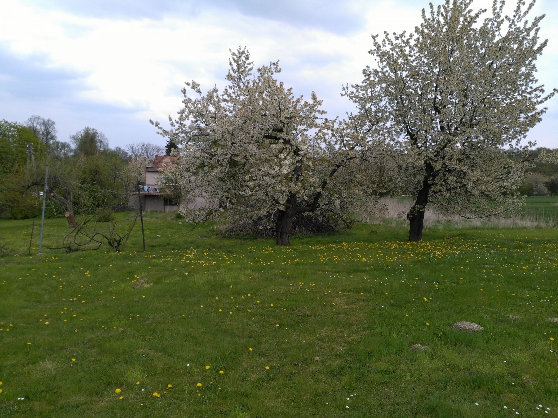 Zdjęcie do wpisu: Nasz początek.