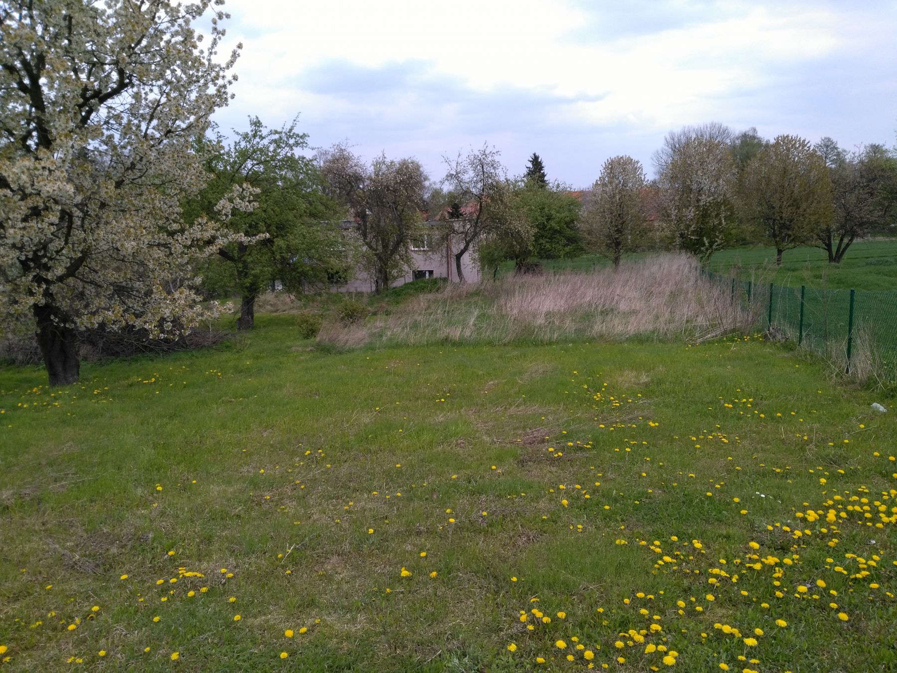 Zdjęcie do wpisu: Nasz początek.