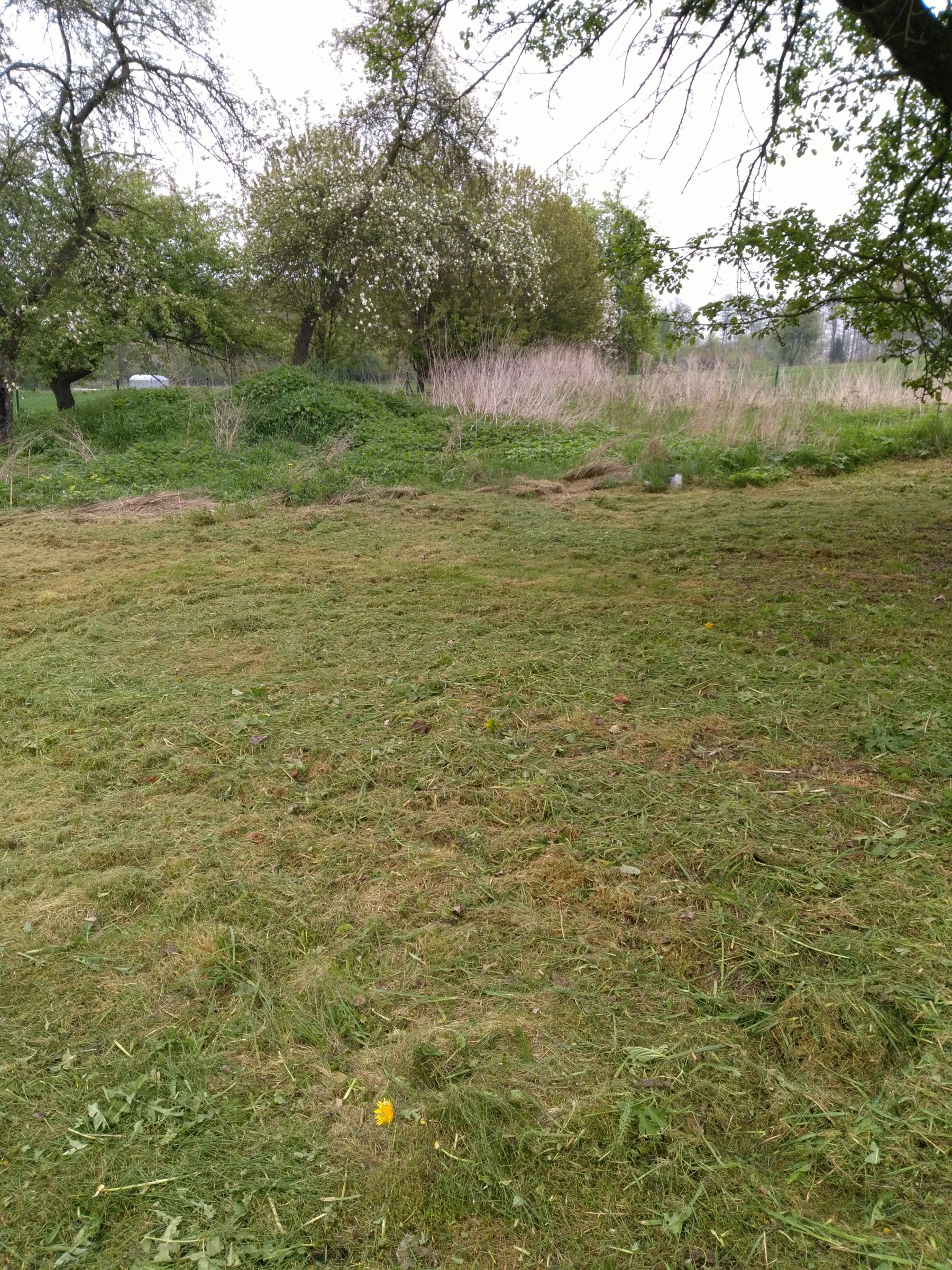 Zdjęcie do wpisu: Działamy !!!