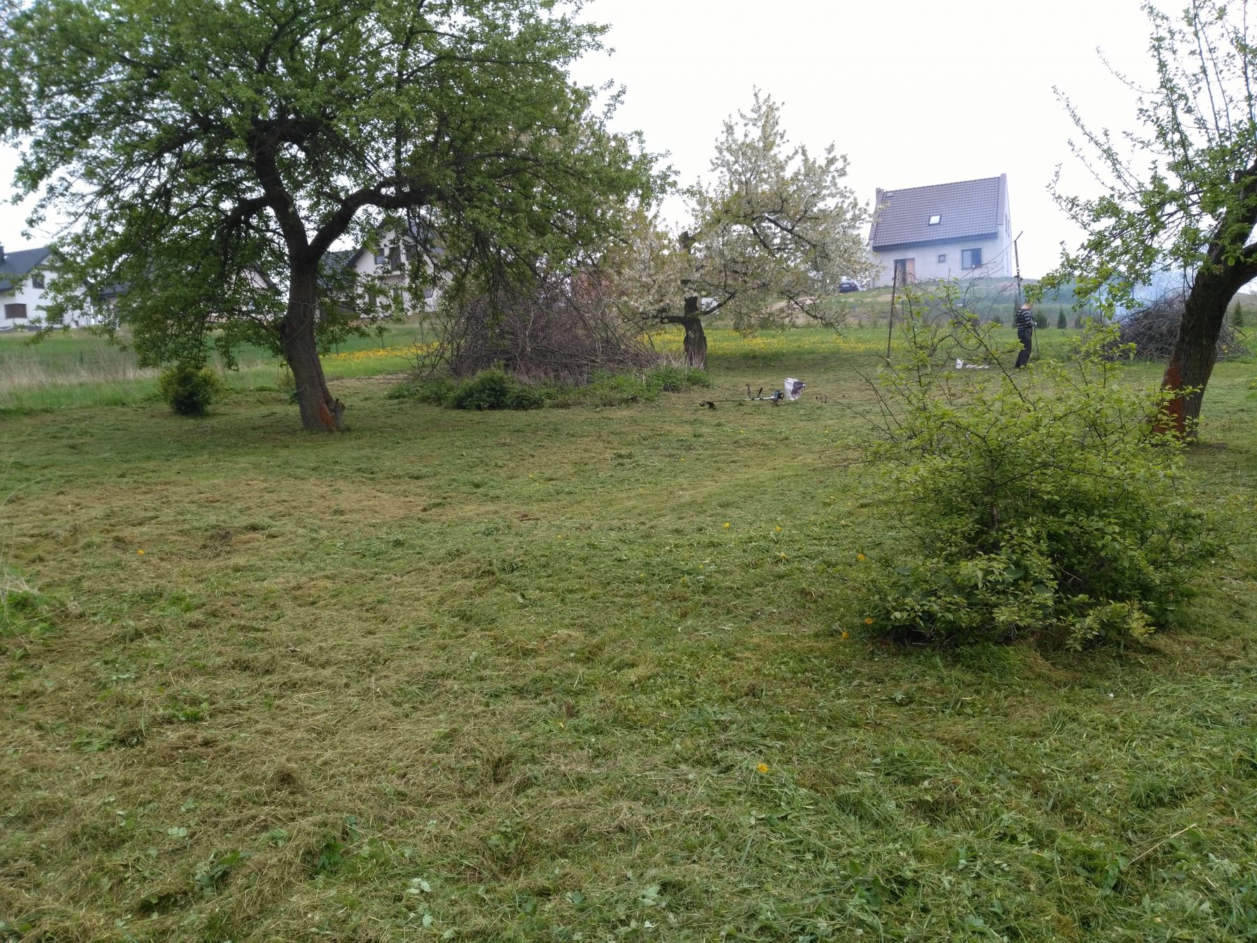 Zdjęcie do wpisu: Działamy !!!