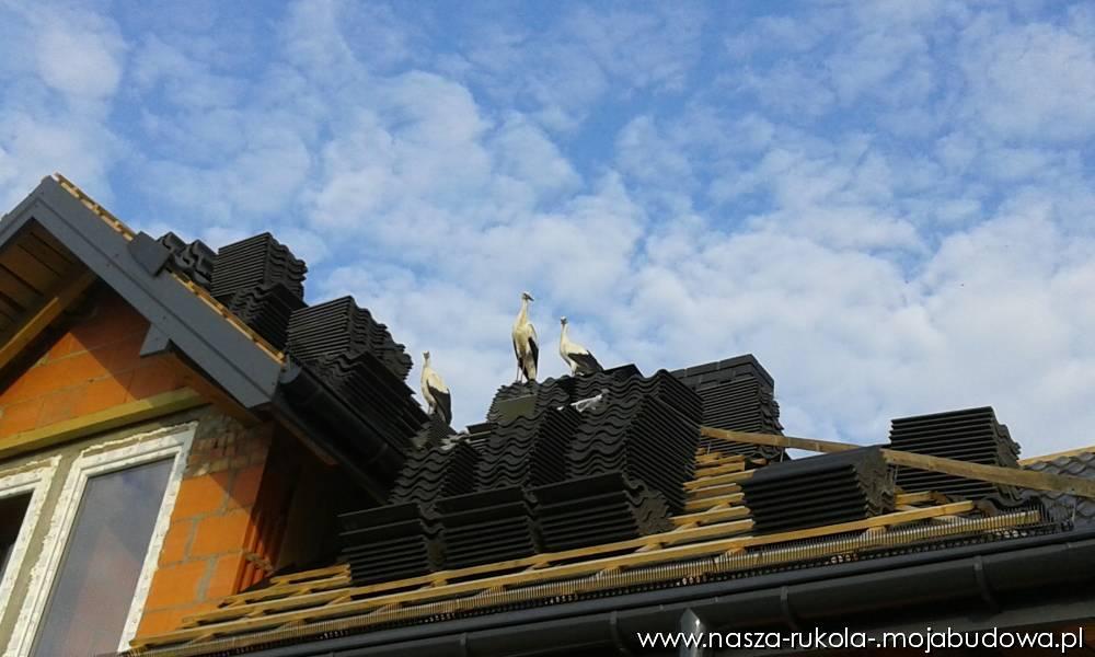 blog budowlany - mojabudowa.pl