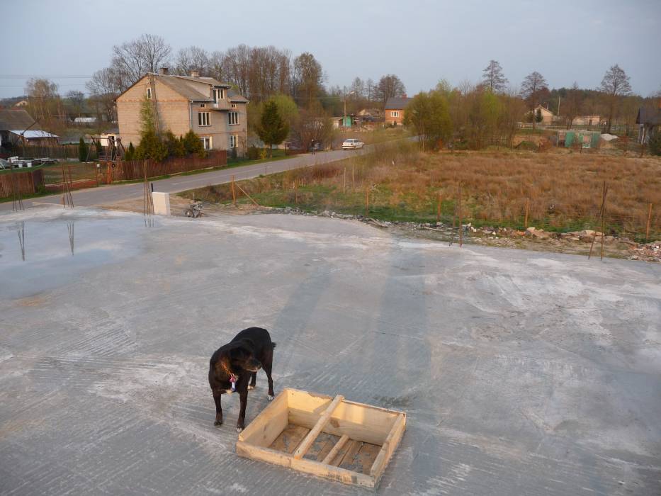 blog budowlany - mojabudowa.pl