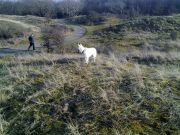 blog budowlany - avatar naszasparagus