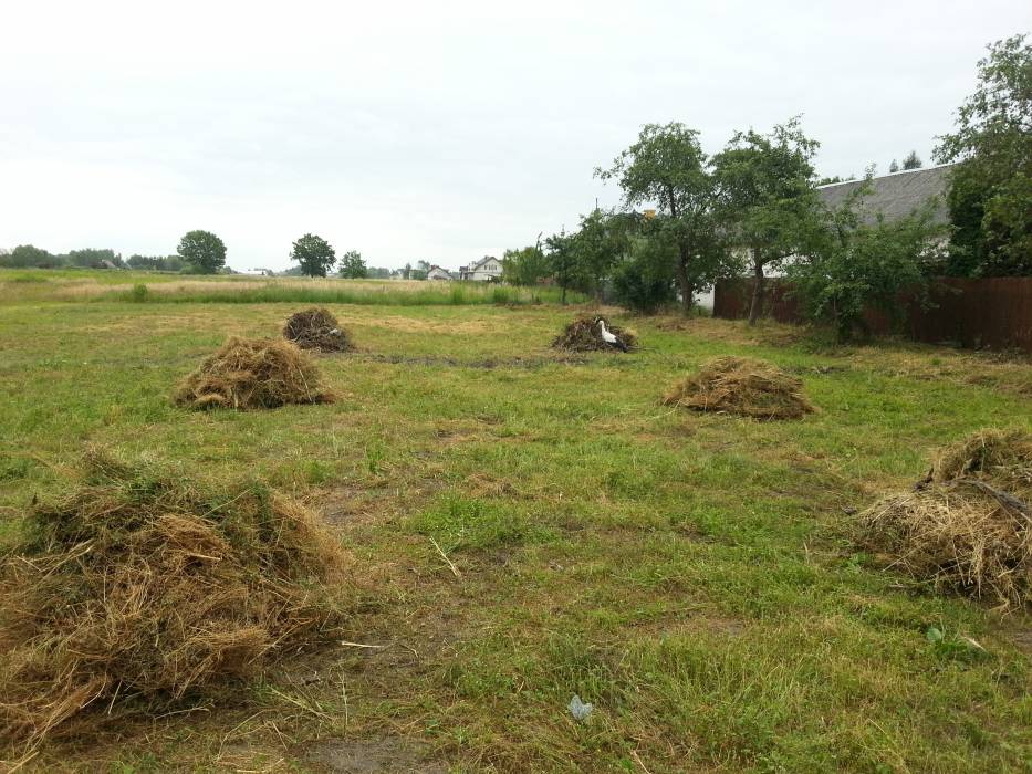 Zdjęcie do wpisu: zaczeło się :-D