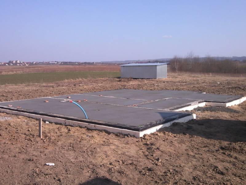 Zdjęcie do wpisu: Pniemy się w górę ;-)