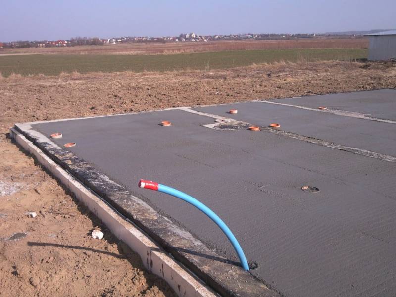 Zdjęcie do wpisu: Pniemy się w górę ;-)