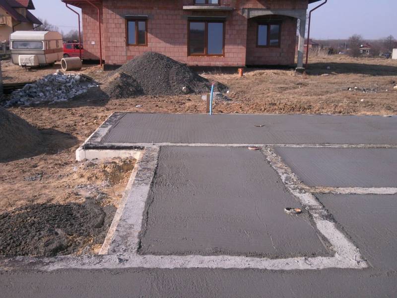 Zdjęcie do wpisu: Pniemy się w górę ;-)