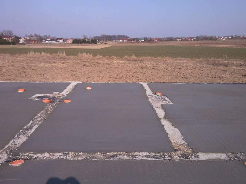 Zdjęcie do wpisu: Pniemy się w górę ;-)