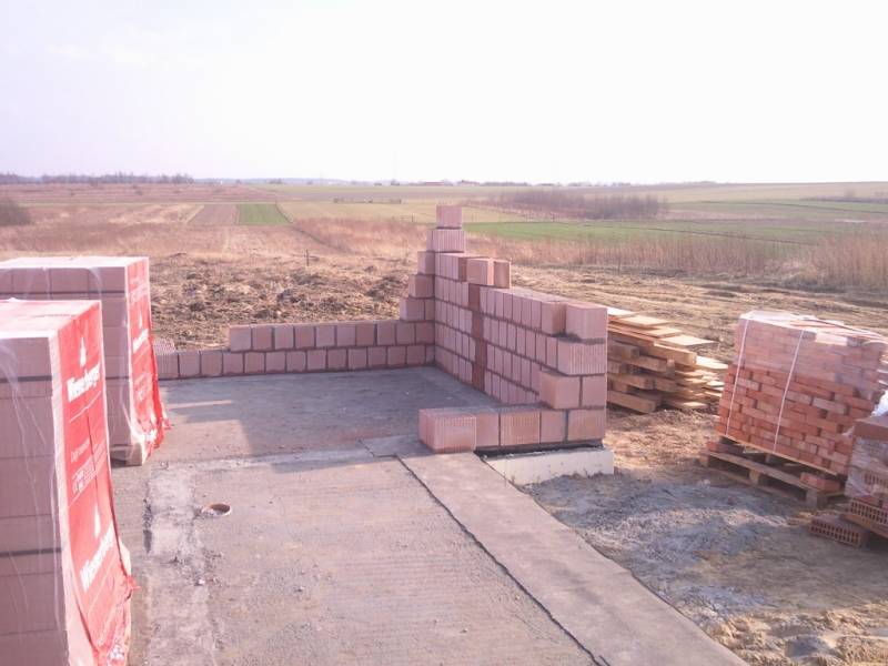 Zdjęcie do wpisu: Pniemy się w górę ;-)