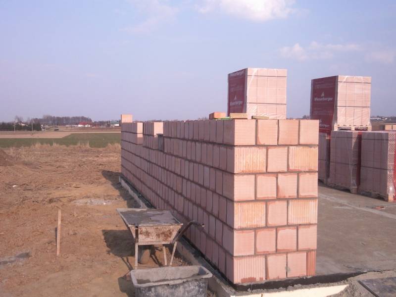 Zdjęcie do wpisu: Pniemy się w górę ;-)