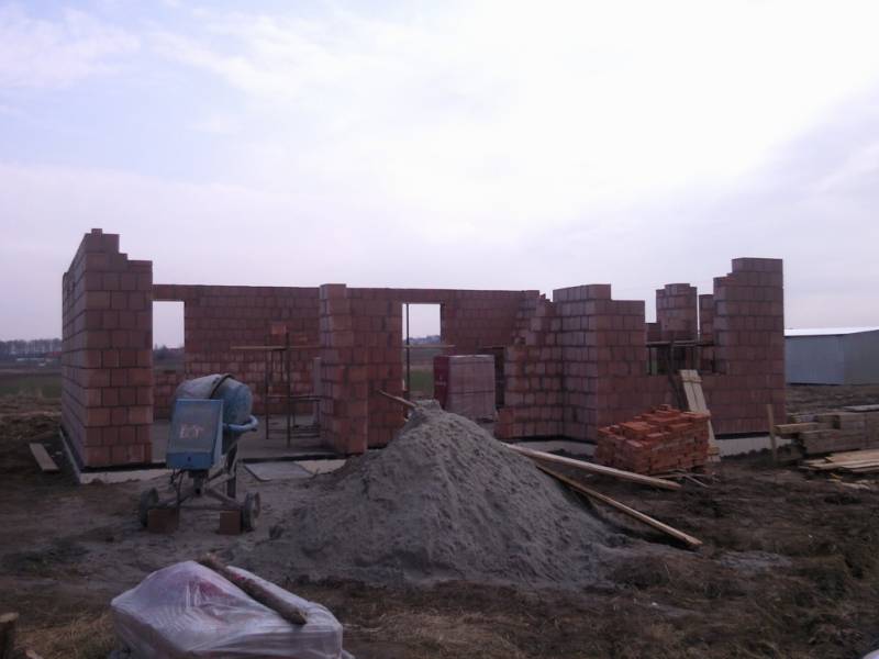 Zdjęcie do wpisu: Pniemy się w górę ;-)