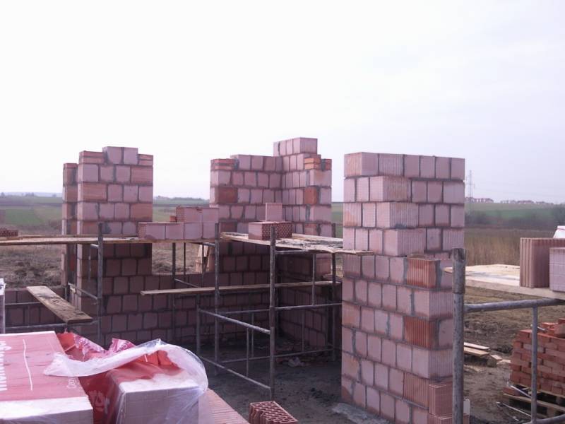 Zdjęcie do wpisu: Pniemy się w górę ;-)