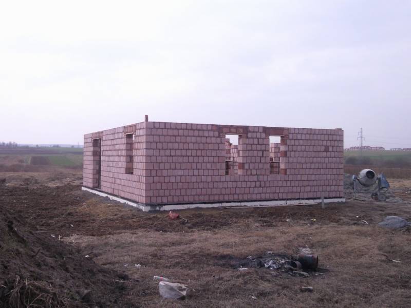 Zdjęcie do wpisu: Pniemy się w górę ;-)