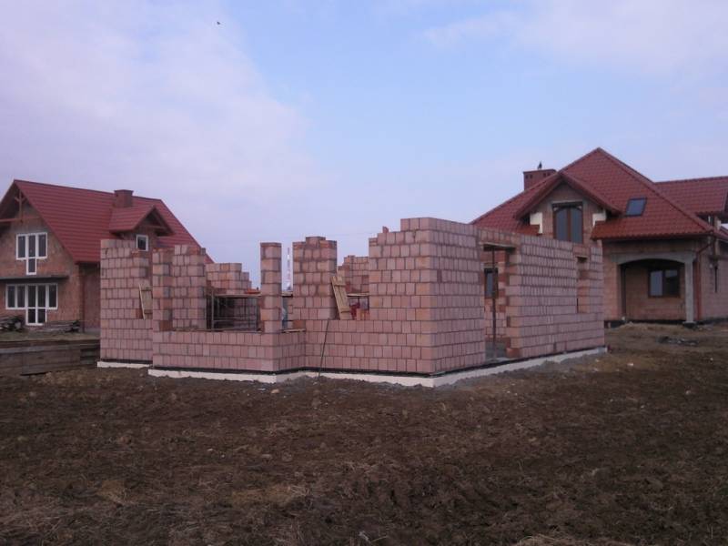 Zdjęcie do wpisu: Pniemy się w górę ;-)