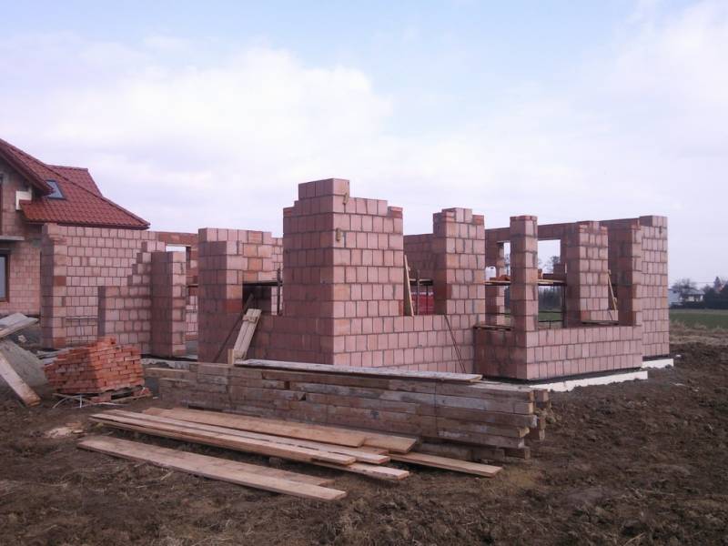 Zdjęcie do wpisu: Pniemy się w górę ;-)