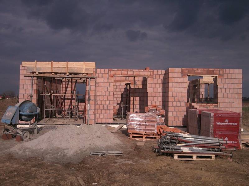 Zdjęcie do wpisu: Pniemy się w górę ;-)