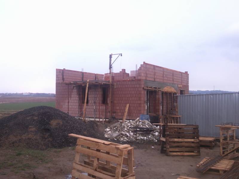 Zdjęcie do wpisu: Pniemy się w górę ;-)