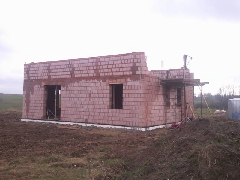 Zdjęcie do wpisu: Pniemy się w górę ;-)