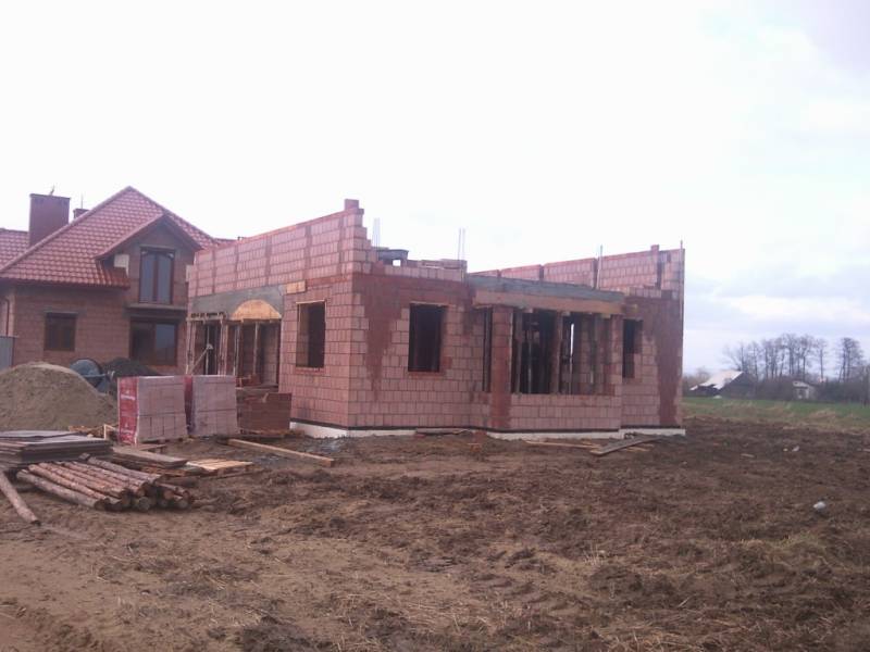 Zdjęcie do wpisu: Pniemy się w górę ;-)