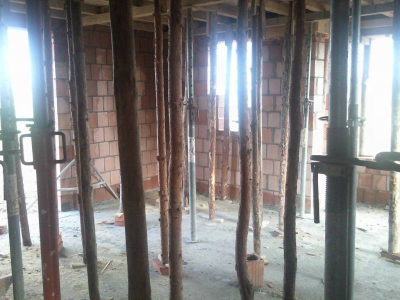 Zdjęcie do wpisu: Pniemy się w górę ;-)