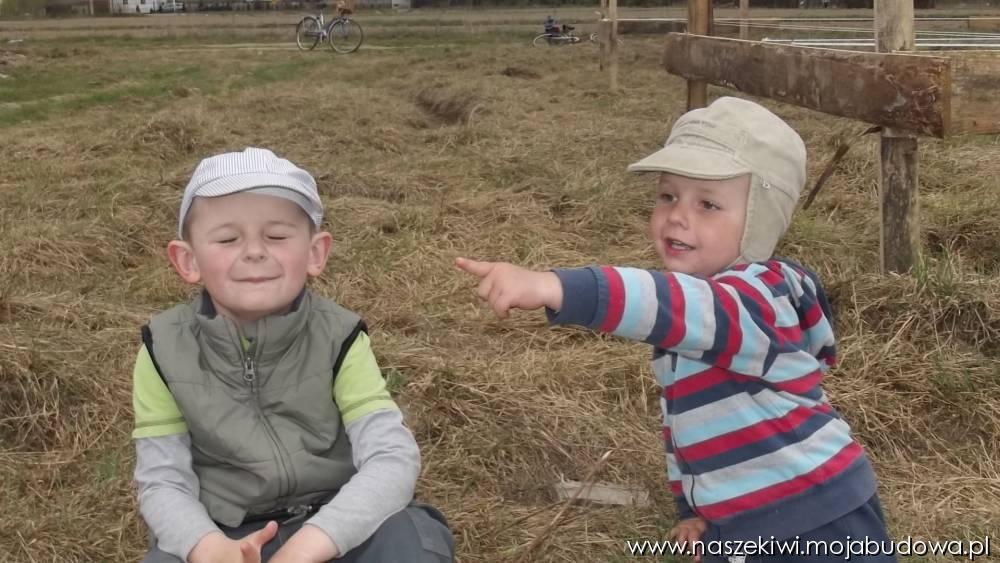 blog budowlany - mojabudowa.pl