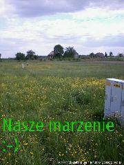 blog budowlany - avatar naszemarzenie4