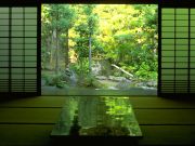 blog budowlany - avatar naszemarzenieantonowka