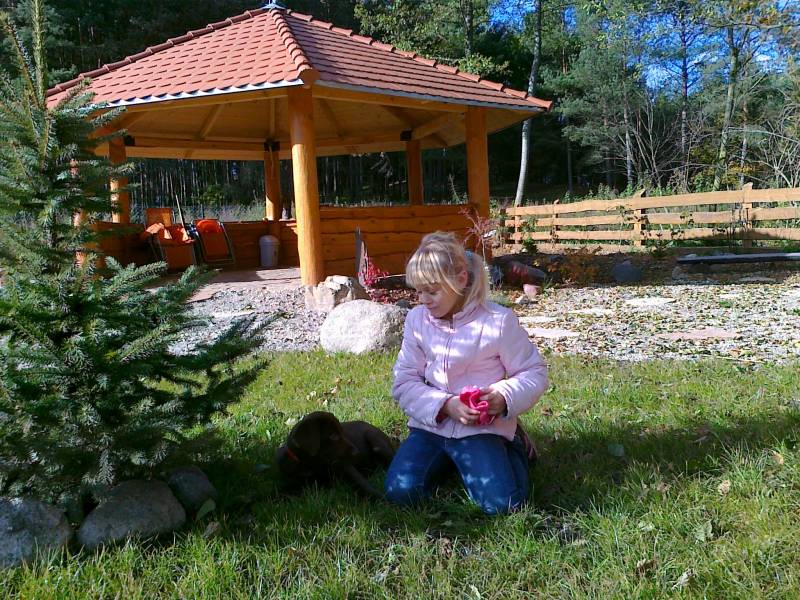 mojabudowa.pl - blog budowlany